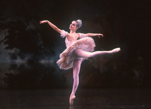 The Nutcracker
