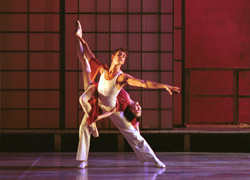 Madame Butterfly