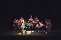 Le Carnaval des Animaux