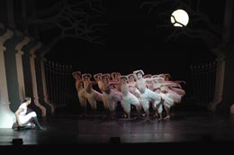 The company