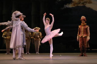 Alina Cojocaru as Aurora