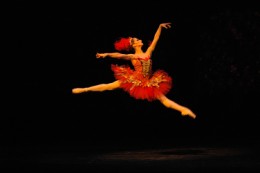 Roberta Marquez as the Firebird