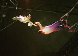 Flying trapeze