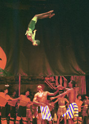 Flying
