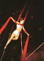 Silks