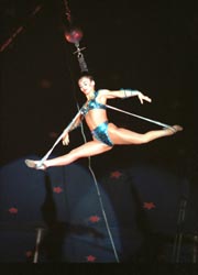 Hair hang