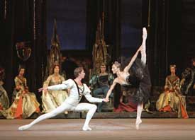 Ekaterina Shipulina & Vladimir Neporozhny