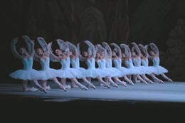 The company