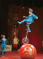 Unicycle