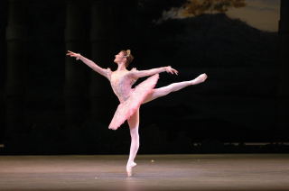 Alina Cojocaru as Aurora
