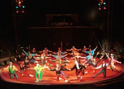 The company