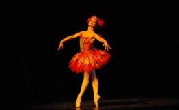 Roberta Marquez as the Firebird