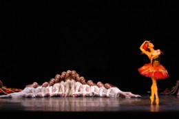 Roberta Marquez as the Firebird