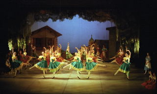 cinderella 12-10