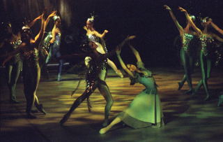 cinderella 18-29