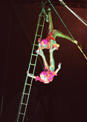 Aerial duo